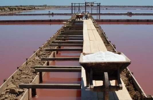 Pinkes Gold und wilde Flamingos – Salins de Gruissan als Erlebnis für alle Sinne Salins_de_Gruissan