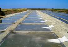 Fleur de Sel von der Île de Ré – das weiße Gold der Atlantikküste Salz_Ile-de-Re_Wikipedia