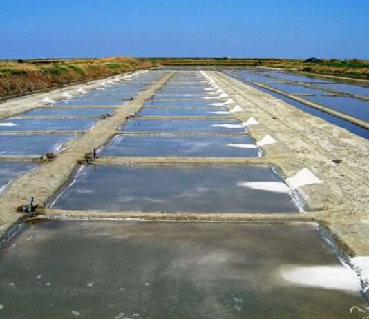 Fleur de Sel von der Île de Ré – das weiße Gold der Atlantikküste Salz_Ile-de-Re_Wikipedia