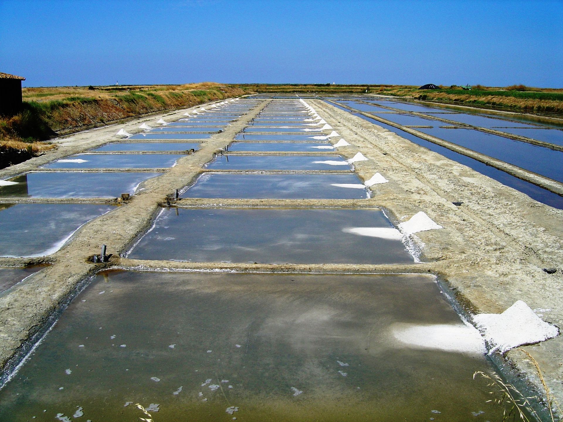 Fleur de Sel von der Île de Ré – das weiße Gold der Atlantikküste