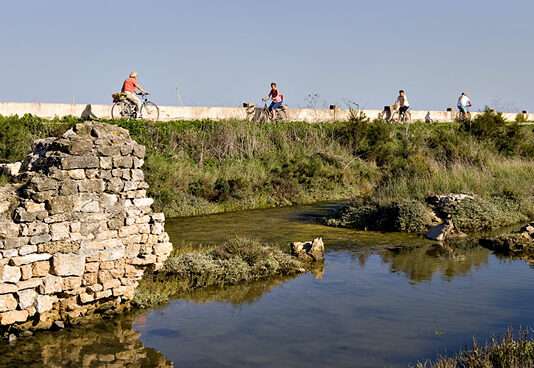 Île de Ré auf zwei Rädern entdecken – Zwischen Sommerglück und Verkehrschaos Veloiledere