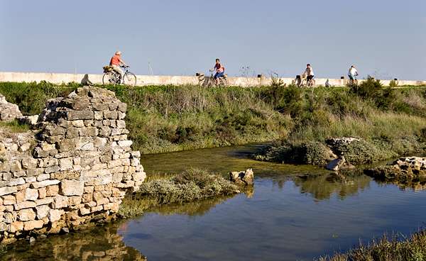 Île de Ré auf zwei Rädern entdecken – Zwischen Sommerglück und Verkehrschaos