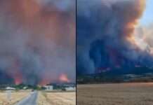 Flammeninferno im Aude: Wenn ein Sommer in Rauch aufgeht Waldbrand_Aude06082025_ScreenX