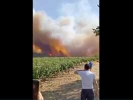 Waldbrand_Aude_0506082025_ScreenX