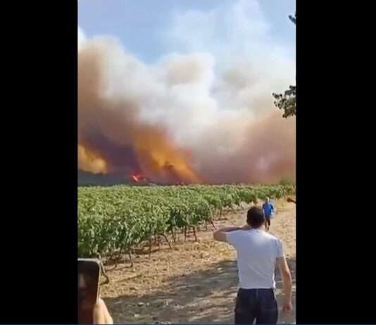 Feuer, ausgebrannte Autos, Rauchwolken bis ins All Waldbrand_Aude_0506082025_ScreenX