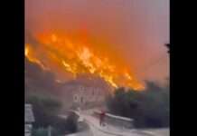 Spanien und die Waldbrände: Ein Jahr der Rekorde und Katastrophen Waldbrand_Spanien_2_ScreenX