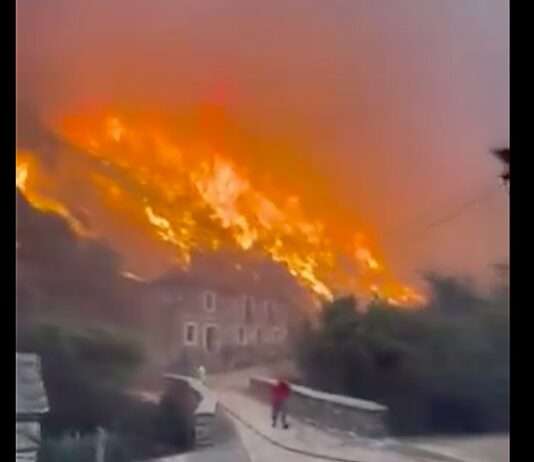 Spanien und die Waldbrände: Ein Jahr der Rekorde und Katastrophen Waldbrand_Spanien_2_ScreenX