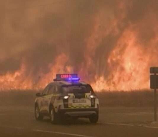 „Flammenmeer ohne Gnade“ – Spanien und Portugal kämpfen gegen die größten Waldbrände des Jahres Waldbrand_Spanien_ScreenFTV