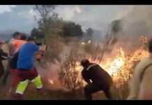 Spanien steht in Flammen – warum das Land gerade von einer Feuerwelle überrollt wird Waldbrand_Spanien_ScreenX