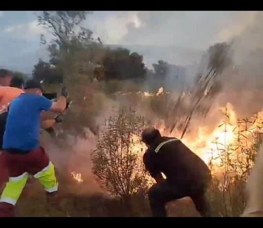 Spanien steht in Flammen – warum das Land gerade von einer Feuerwelle überrollt wird Waldbrand_Spanien_ScreenX