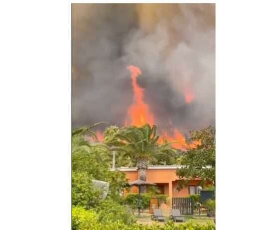 Flammenmeer an der Costa de la Luz – Tarifa kämpft gegen eine Feuerwalze Waldbrand_Tarifa_Spanien_ScreenX