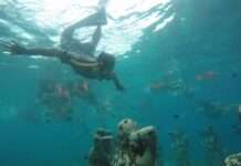 Vergessene Schätze unter Wasser: Wie der Var zur Schatzkammer der Unterwasserarchäologie wurde Unterwasser_Entdeckungen