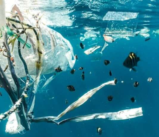 Kommentar: Kein Vertrag über Plastik – und ein Verrat an der Zukunft Plastik_Meer