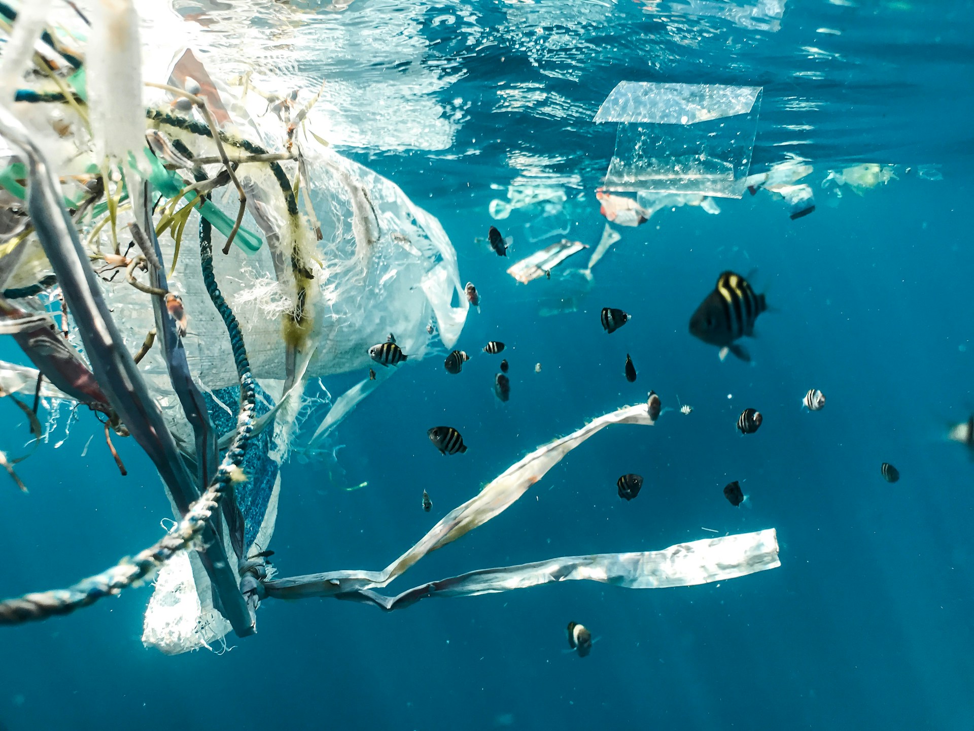 Mittelmeer in Not: Mikroplastik-Krise vor Korsika