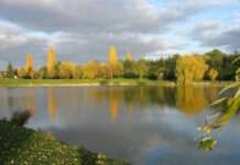Wenn Verse Wurzeln schlagen – Poesie auf dem Ackerland der Sarthe Cadre_naturel_d'Auvers_le_Hamon