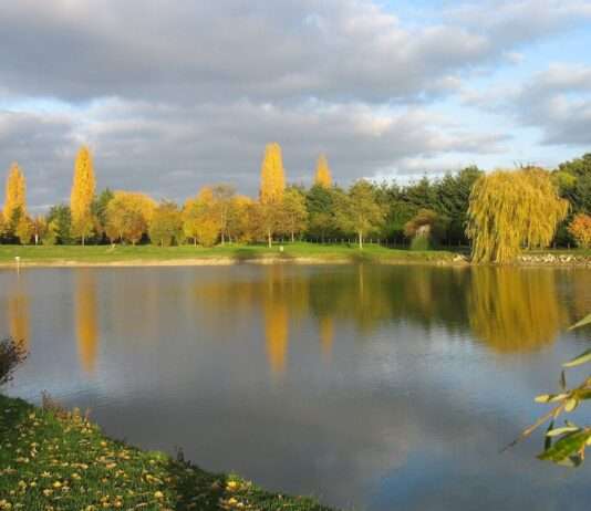 Wenn Verse Wurzeln schlagen – Poesie auf dem Ackerland der Sarthe Cadre_naturel_d'Auvers_le_Hamon