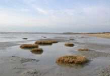Baie de Somme – Schönheit mit Risiko: Wie eine französische Bucht gegen das Wasser kämpft Bord_de_mer,_près_du_marais_du_Crotoy