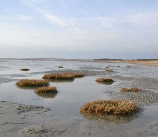 Baie de Somme – Schönheit mit Risiko: Wie eine französische Bucht gegen das Wasser kämpft Bord_de_mer,_près_du_marais_du_Crotoy