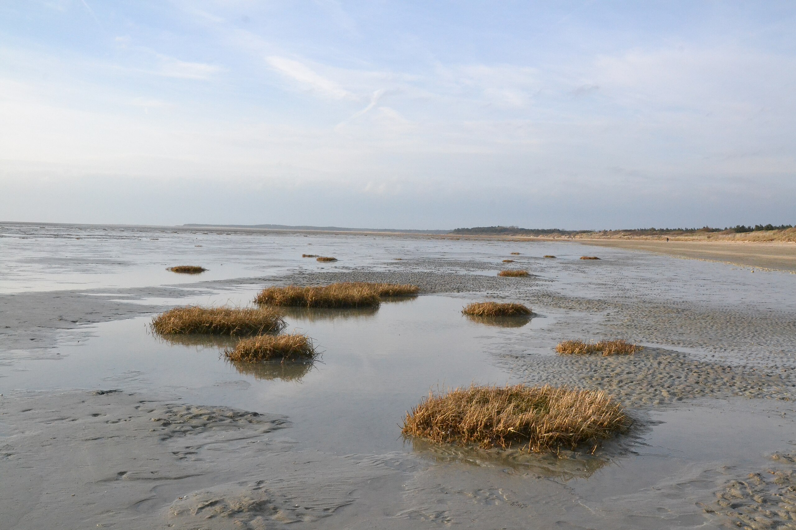 Baie de Somme – Schönheit mit Risiko: Wie eine französische Bucht gegen das Wasser kämpft