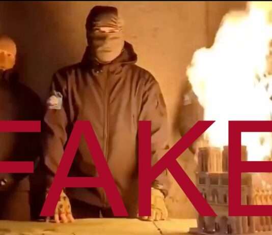 Wenn Wahrheit in Flammen steht – Wie ein altes Video zur Notre-Dame erneut Verschwörungstheorien entfacht Fake_Video_Notre-Dame_ScreenX