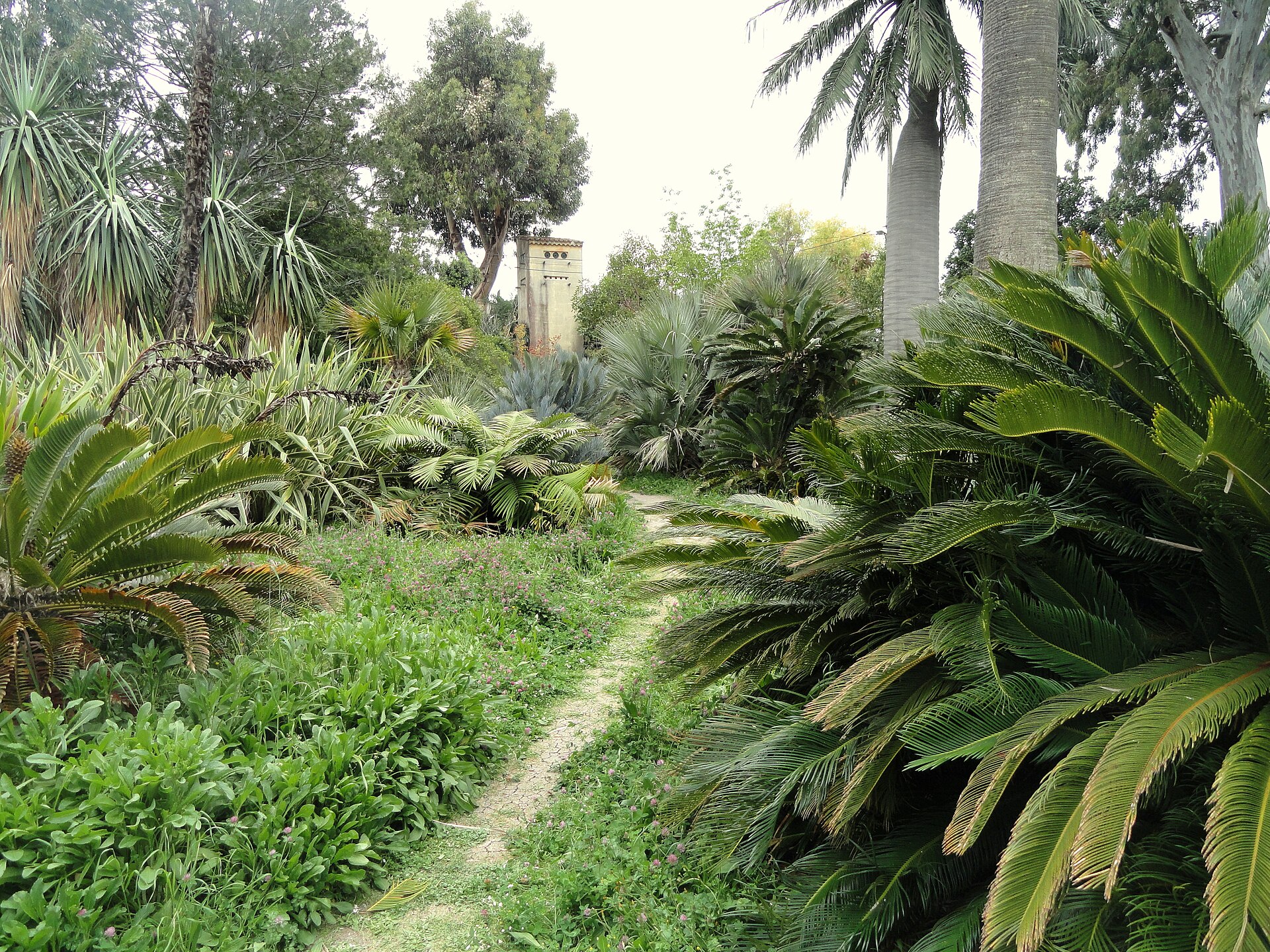 Botanische Magie am Mittelmeer: Ein Spaziergang durch die Villa Thuret in Antibes