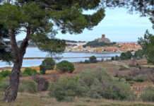 Die warmen Farben von Gruissan – Wo das Licht Geschichten erzählt Gruissan_Wikipedia