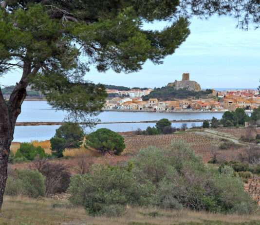 Die warmen Farben von Gruissan – Wo das Licht Geschichten erzählt Gruissan_Wikipedia