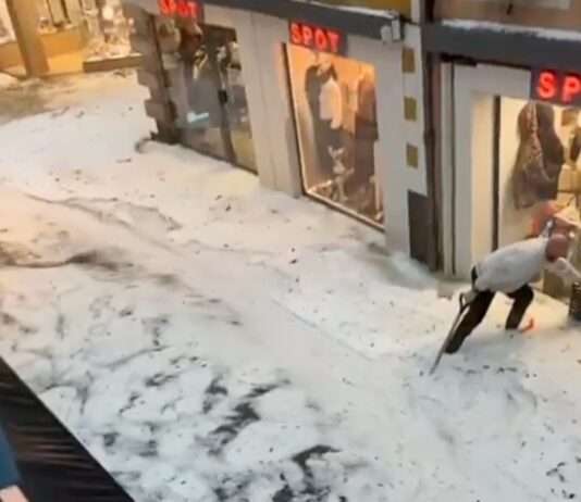 Unwetter: Als in Gap mitten im September der Winter ausbrach Hagelsturm_Gap_ScreenX