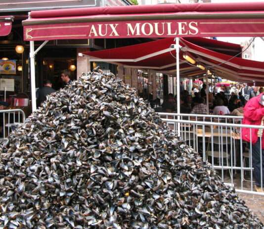 Braderie de Lille 2025: Wo Flohmarkt auf Festivalfeeling trifft Braderie_de_Lille_Muschelschalen