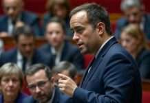 Knappe Rettung: Lecornus Regierung wankt, aber fällt nicht Lecornu_Nationalversammlung_Illustration