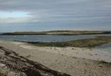 Insel der Katzen – Wie Molène zwischen Idylle und Plage balanciert île-de-Molène_Wikipedia