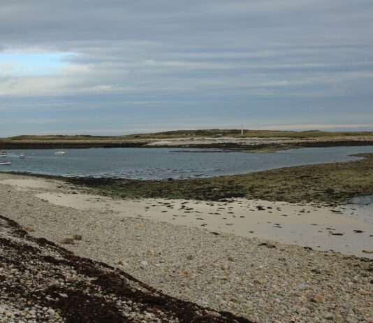 Insel der Katzen – Wie Molène zwischen Idylle und Plage balanciert île-de-Molène_Wikipedia