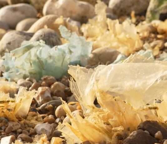 Dollemard: Frankreichs offene Wunde am Meer Müll_Dollemard_ScreenX