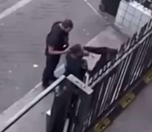 Geschlagen, bespuckt, gefilmt – wie Vertrauen in die Uniform zerbricht Polizeigewalt_ScreenYoutube