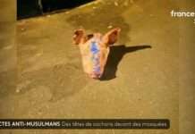 Schockwelle in Paris: Moscheen mit Schweineköpfen geschändet Schweinekopf_Moschee_ScreenFTV
