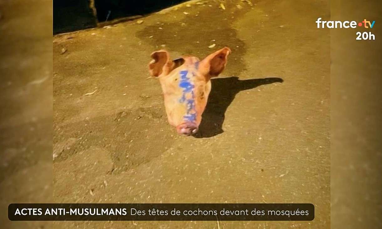 Schockwelle in Paris: Moscheen mit Schweineköpfen geschändet