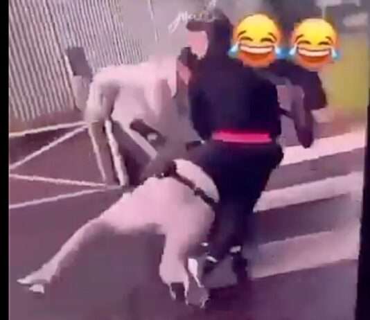 Polizist in Tourcoing verprügelt: Gewalt, Empörung und wieder die Frage nach dem Vertrauen Verprügelter_Polizist_Tourcoing_ScreenX