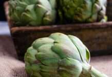 Finistère: Wie die Bretagne der Artischocke neues Leben einhaucht Artischocke