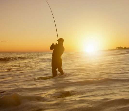 Hobbyfischer: Ab 2026 gilt eine Pflicht zur Fangmeldung Angler