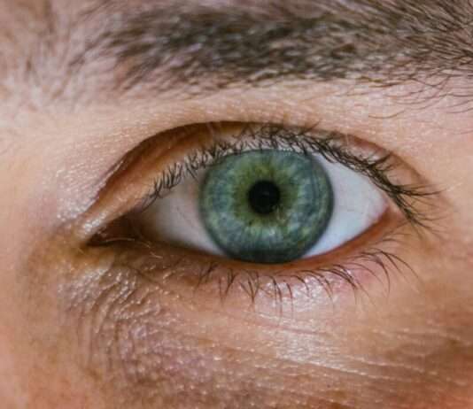 Mit einem Stück Zahn zurück ins Leben: Wie Dylan nach zwölf Jahren Blindheit wieder sehen lernte Auge