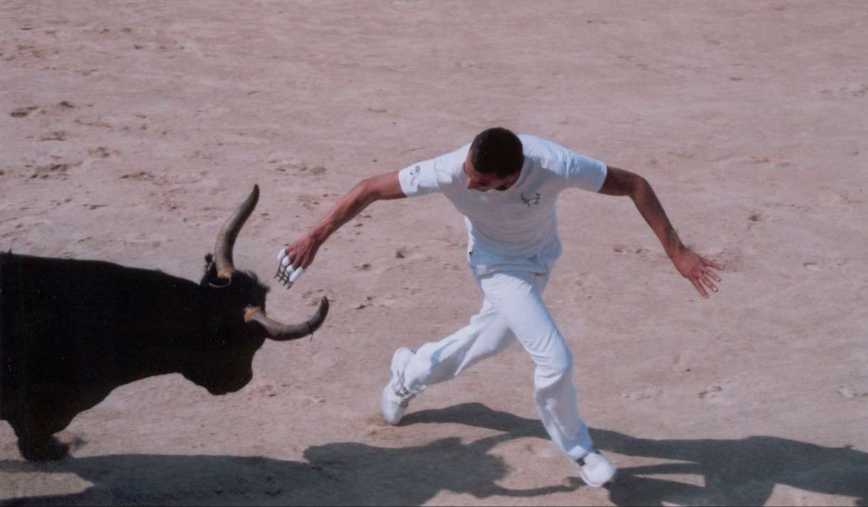 Ein Tanz auf sandigem Boden – die Course camarguaise zwischen Nervenkitzel und Tradition