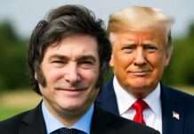 Geld gegen Reformen? Wie Washingtons Milliarden Mileis Wahlsieg absicherten Javier-Milei_Donald-Trump_Illustration