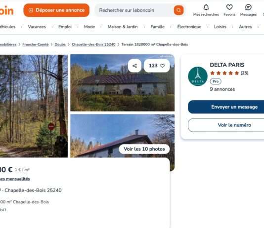 Millionen für Moos: Warum eine Waldfläche im französischen Doubs auf Le Bon Coin für Aufsehen sorgt Le-Bon-Coin_Screenshot