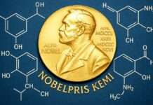 Nobelpreis für Chemie 2025: Drei Forscher revolutionieren die Materialwelt mit Metallo-Organischen Gerüsten Nobelpreis_Chemie_Illustration