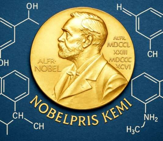 Nobelpreis für Chemie 2025: Drei Forscher revolutionieren die Materialwelt mit Metallo-Organischen Gerüsten Nobelpreis_Chemie_Illustration