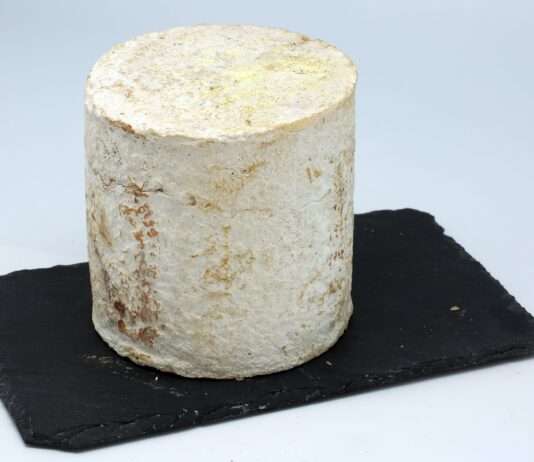 Rohmilchkäse in Gefahr – Wie ein kulinarisches Erbe zwischen Hygiene, Handel und Heimat zerrieben wird Persillé_de_Tignes_lors_du_Wikicheese_du_26_février_2016_21