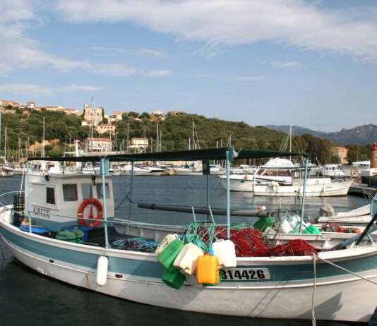 Korsikas Küche: Herzhaft, ehrlich, hausgemacht Porto-Vechio_Port