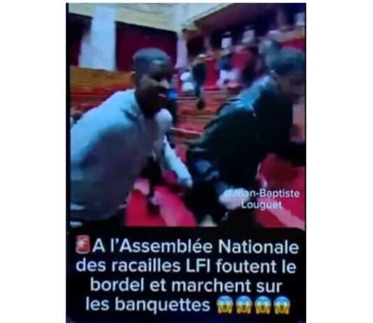 Ein Sturm aus Pixeln – Wie eine KI-Fälschung die „Erstürmung der Nationalversammlung“ inszeniert Sturm_Nationalversammlung_Fake-News_ScreenX