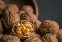 Millionenbeute im Morgengrauen – Wenn 2 Millionen Walnüsse spurlos verschwinden Walnüsse