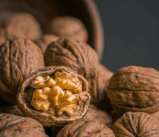 Millionenbeute im Morgengrauen – Wenn 2 Millionen Walnüsse spurlos verschwinden Walnüsse